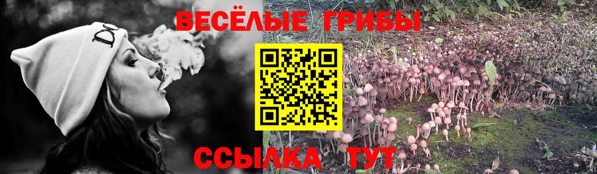Псилоцибиновые грибы мухоморы Первоуральск